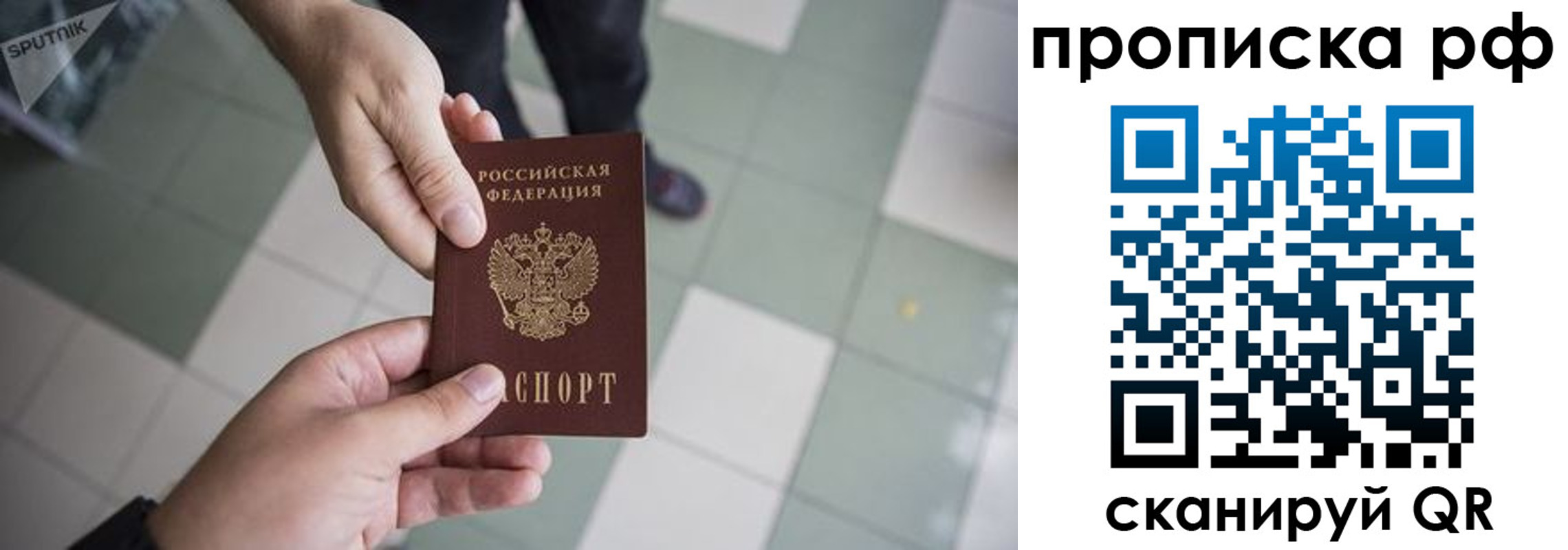 прописка гарантия в Стародубе